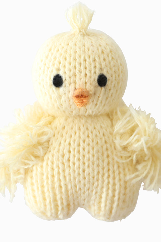 Tiny baby chick