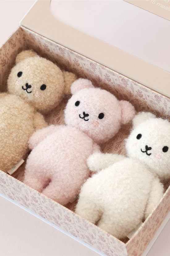 Cozy Bouclé Collector's Kit