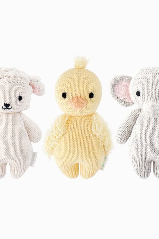 Newborn Collector's Kit