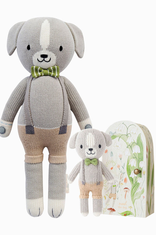Noah bundle