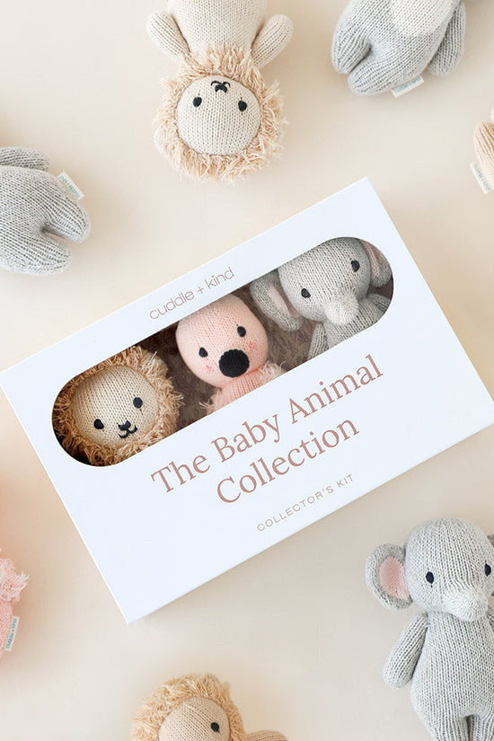 Bestseller Collector's Kit
