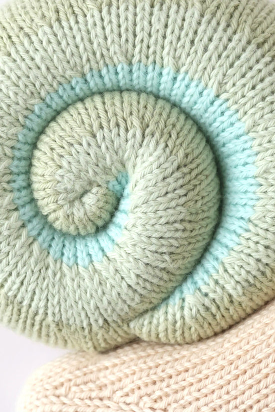 Baby snail (morning dew)