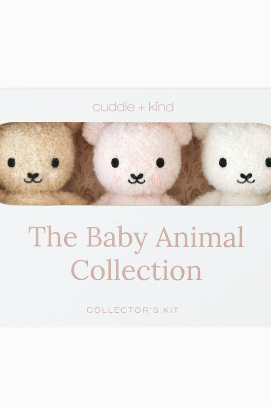 Cozy Bouclé Collector's Kit