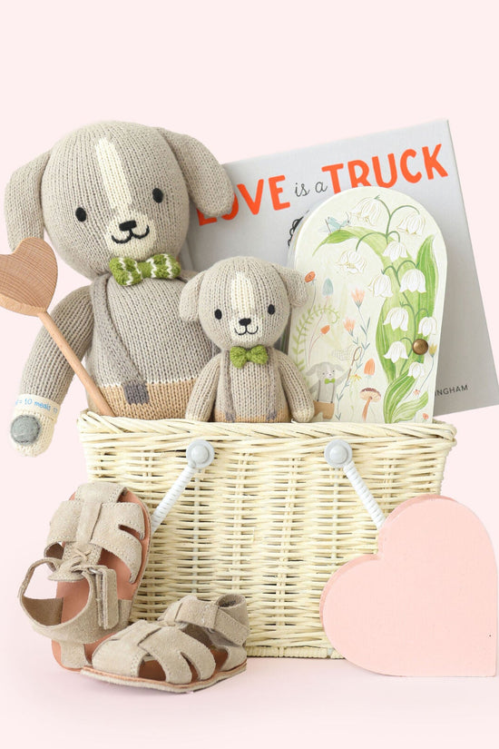 Noah bundle
