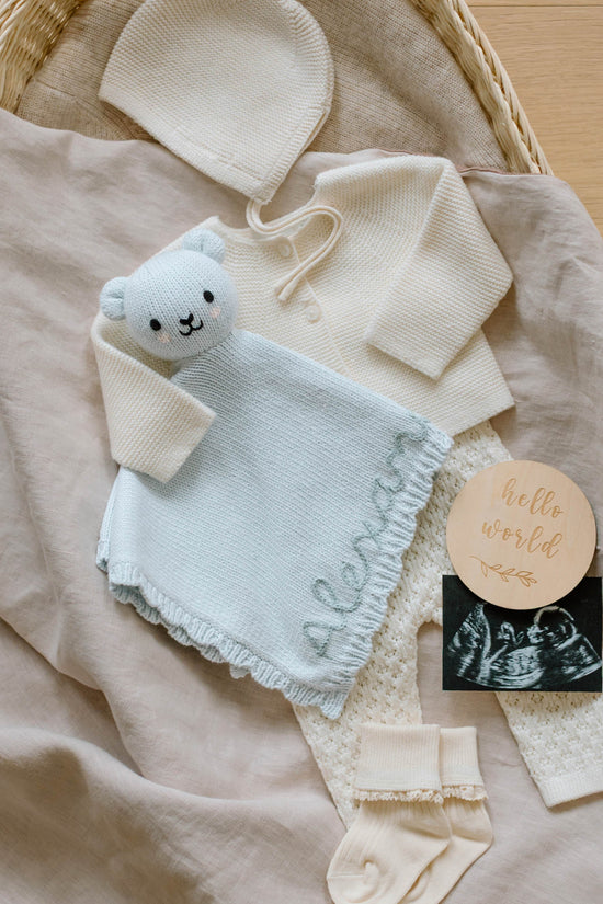 Baby bear lovey