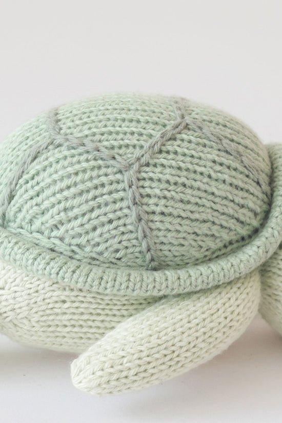 Baby sea turtle (kelp green)