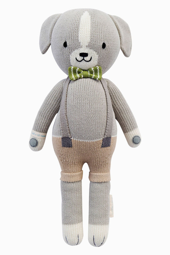 Noah bundle