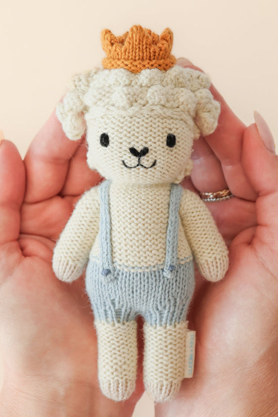 Tiny Sebastian the lamb