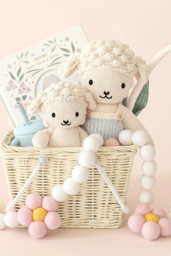 Little lamb bundle