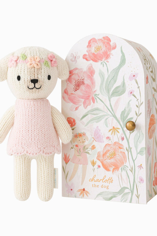 Charlotte bundle