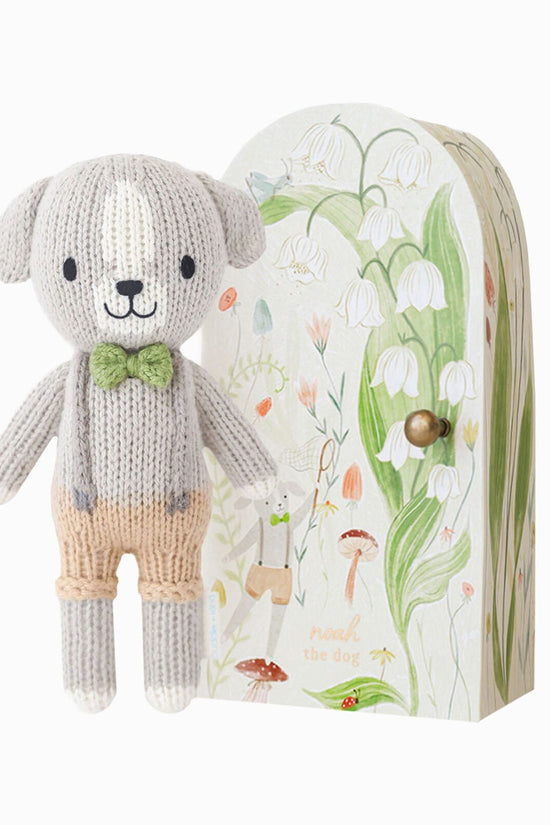 Noah bundle