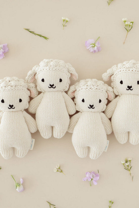 Newborn Collector's Kit