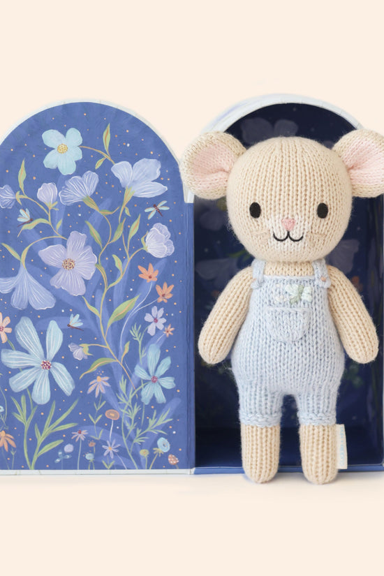 Tiny Bailey the mouse