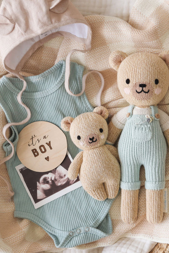 Baby honey bear