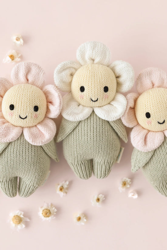 Baby daisy (blush pink)