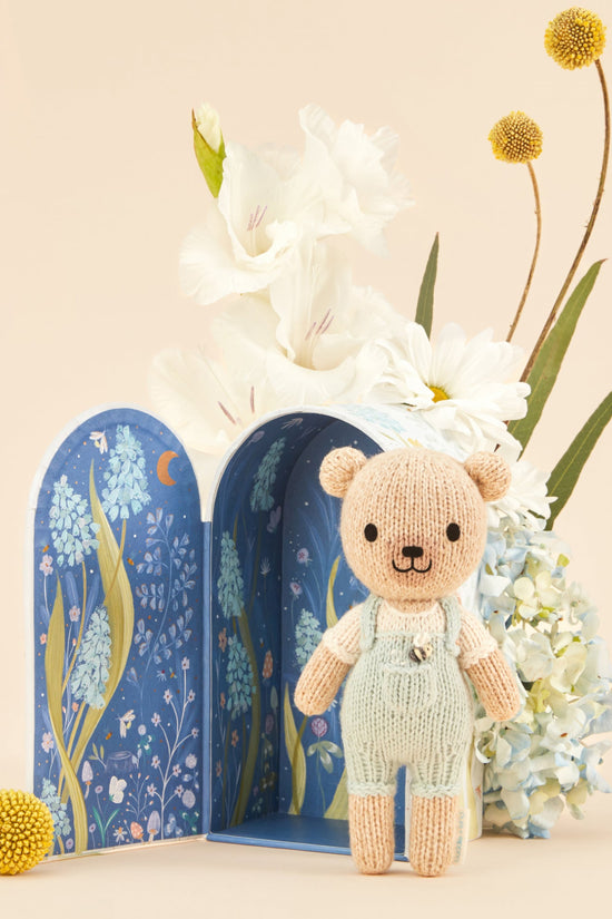 Tiny Charlie the honey bear