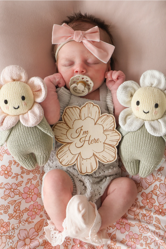 Baby daisy (ivory)