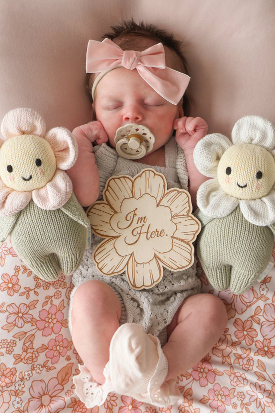 Baby daisy (blush pink)