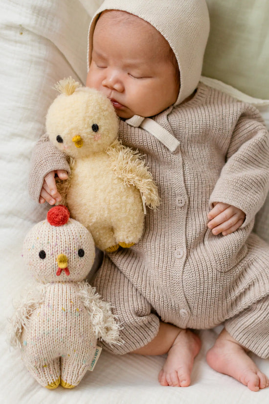 Baby chicken
