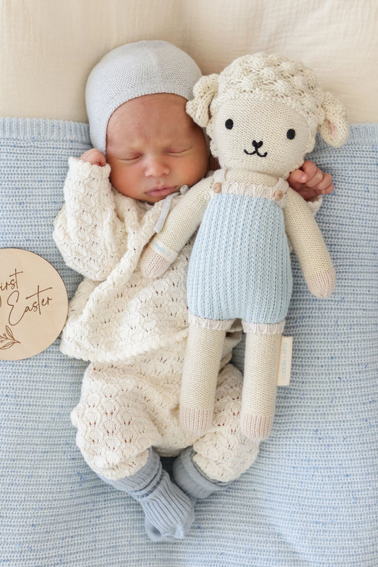 Benjamin the lamb