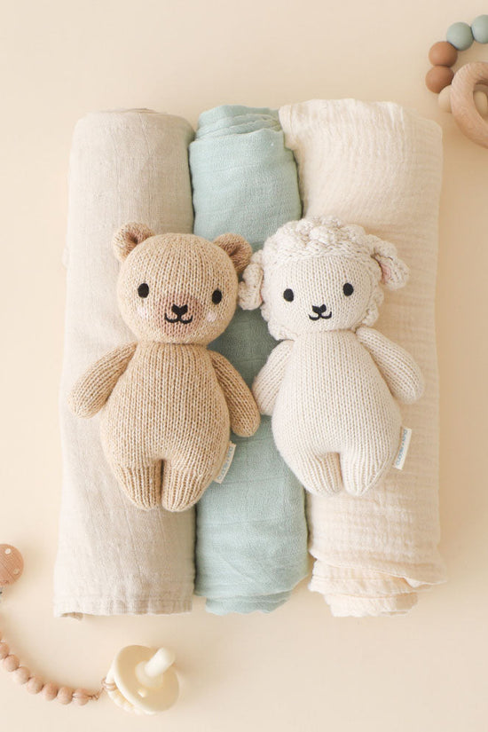 Baby honey bear
