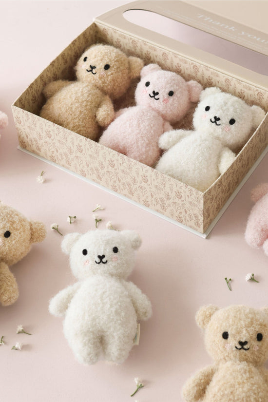 Cozy Bouclé Collector's Kit