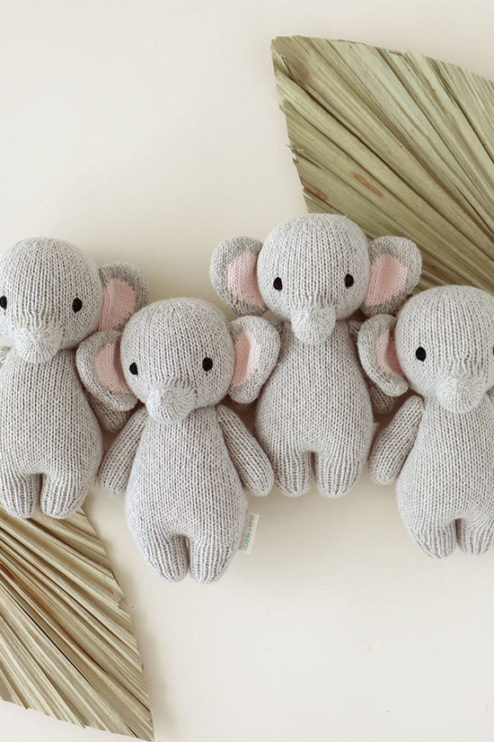 Newborn Collector's Kit
