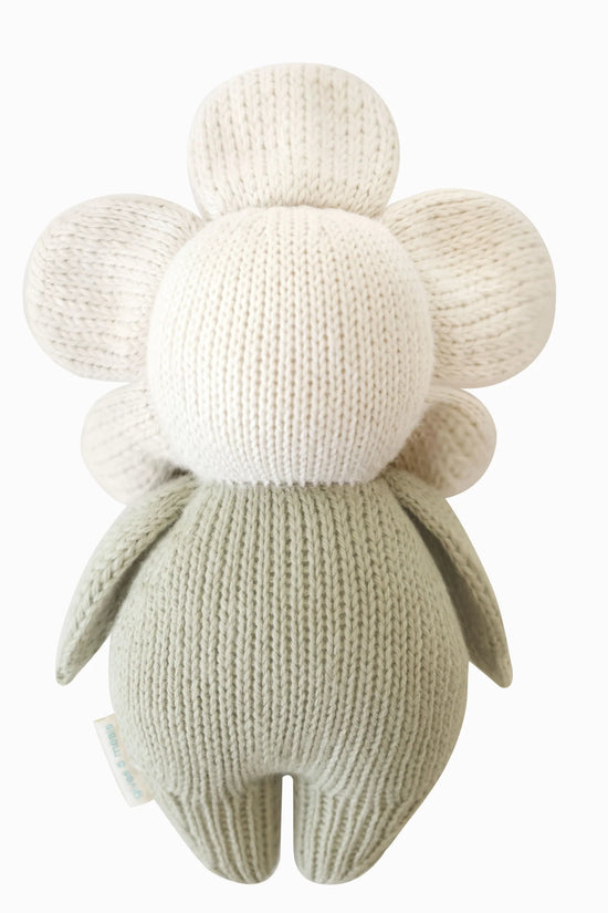 Baby daisy (ivory)