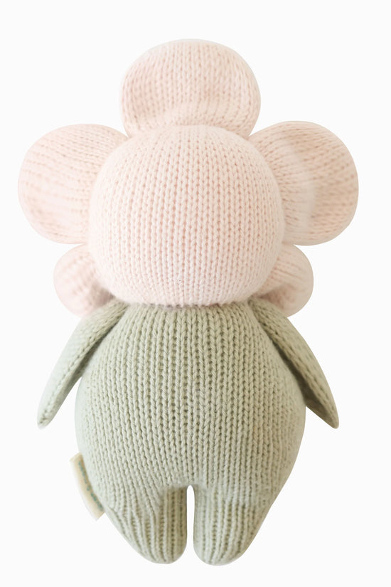Baby daisy (blush pink)