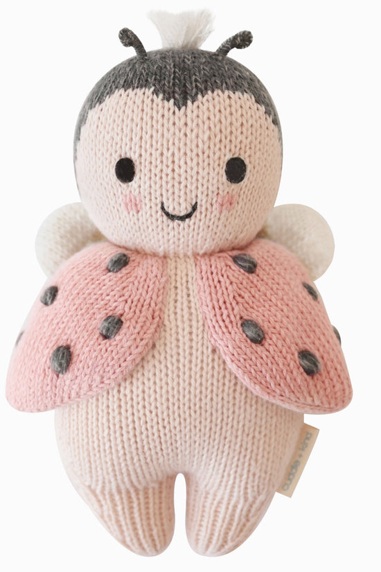 Baby ladybug