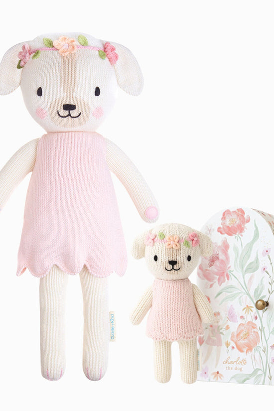 Charlotte bundle