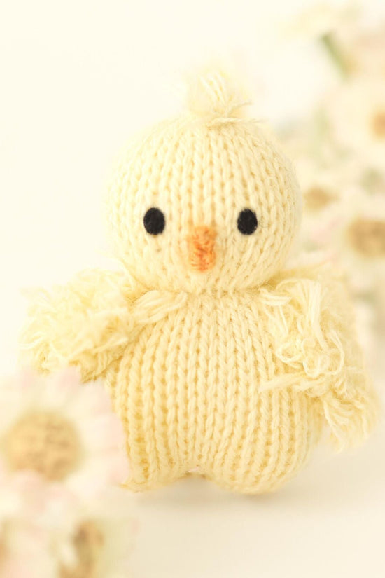 Tiny baby chick