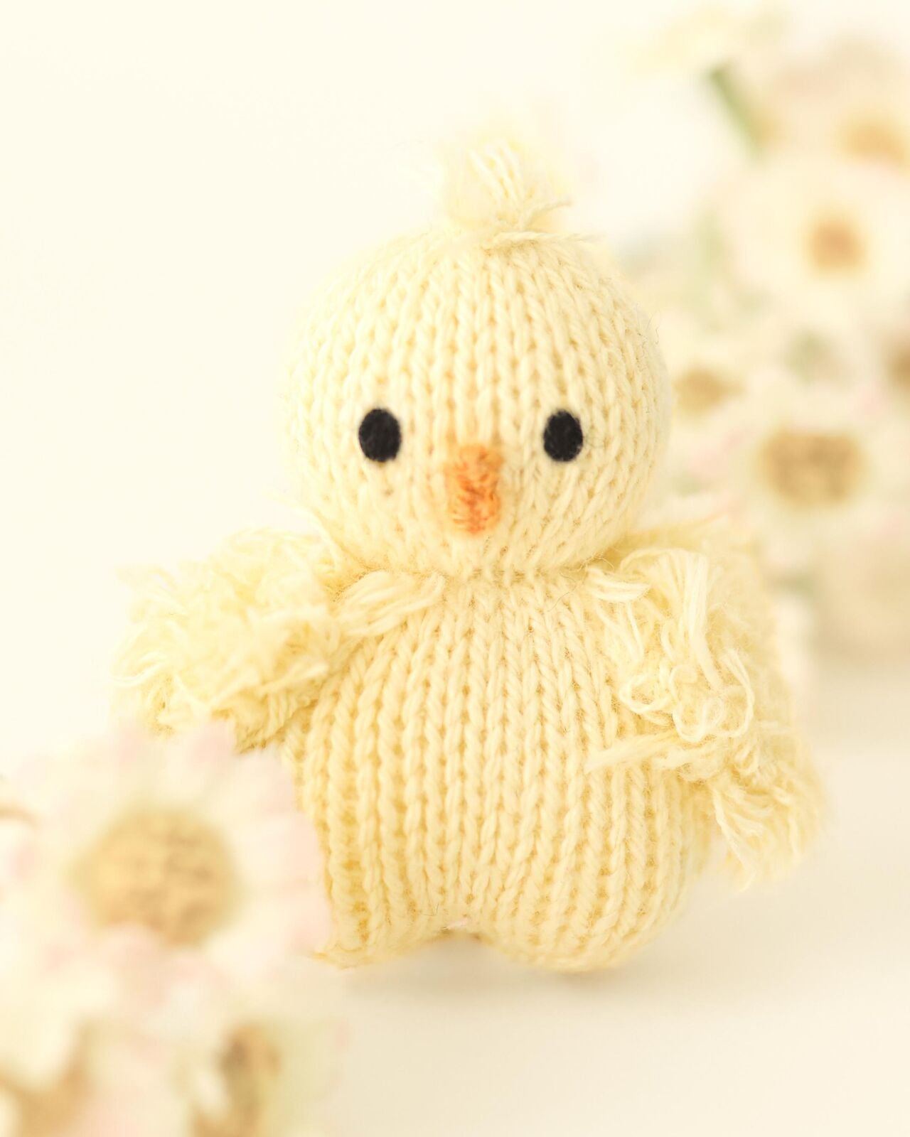 ‍Tiny baby chick