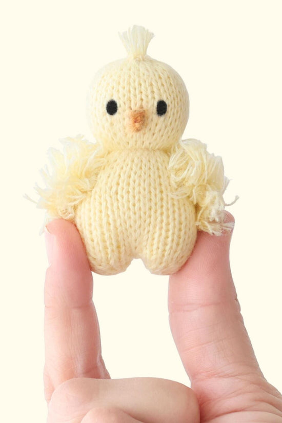 Tiny baby chick