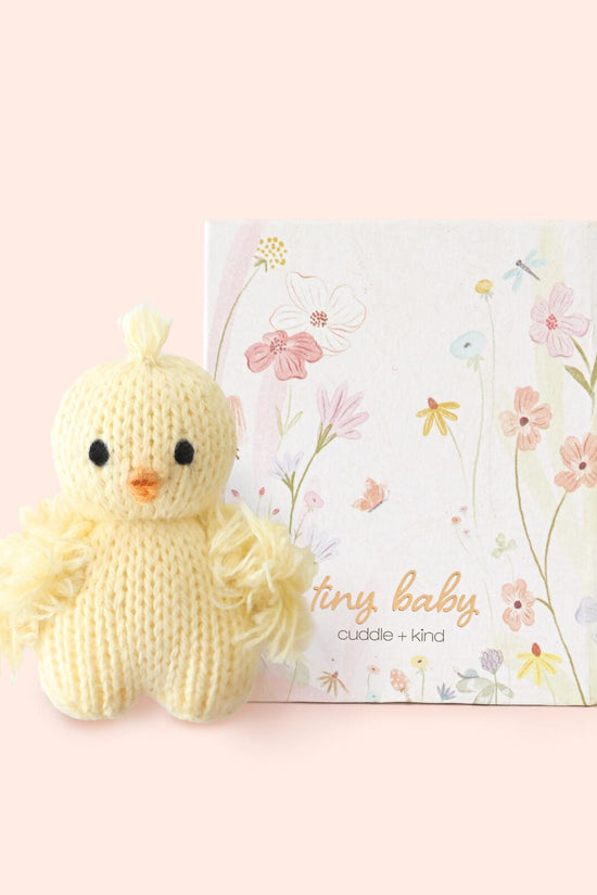 Tiny baby chick