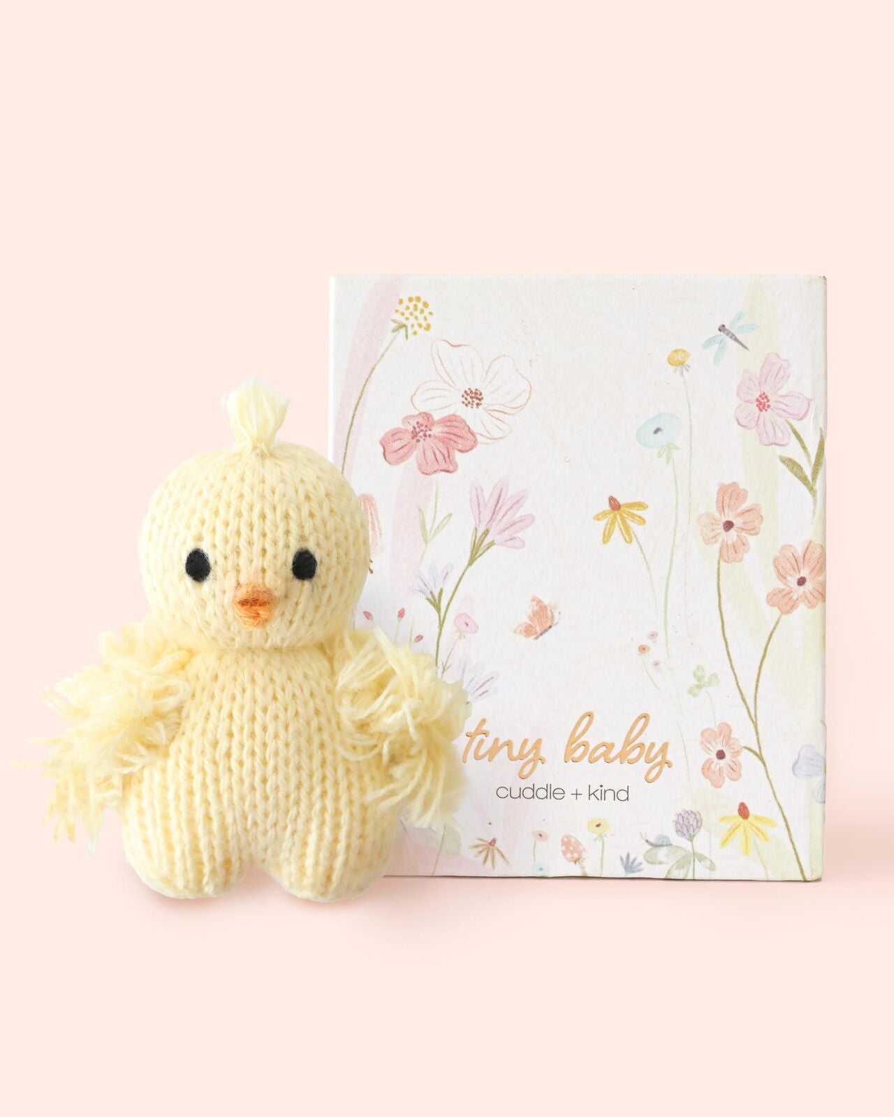 ‍Tiny baby chick