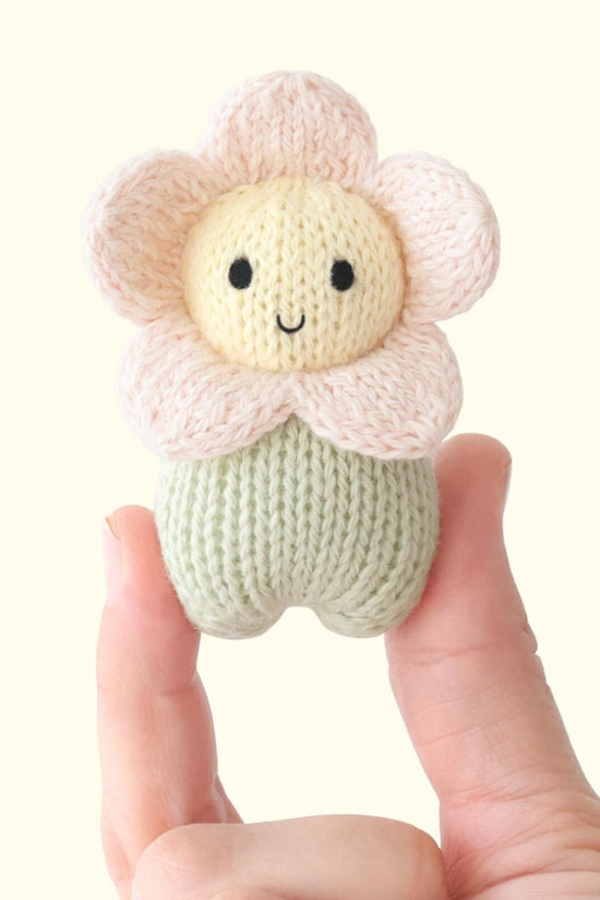 ‍Tiny baby daisy